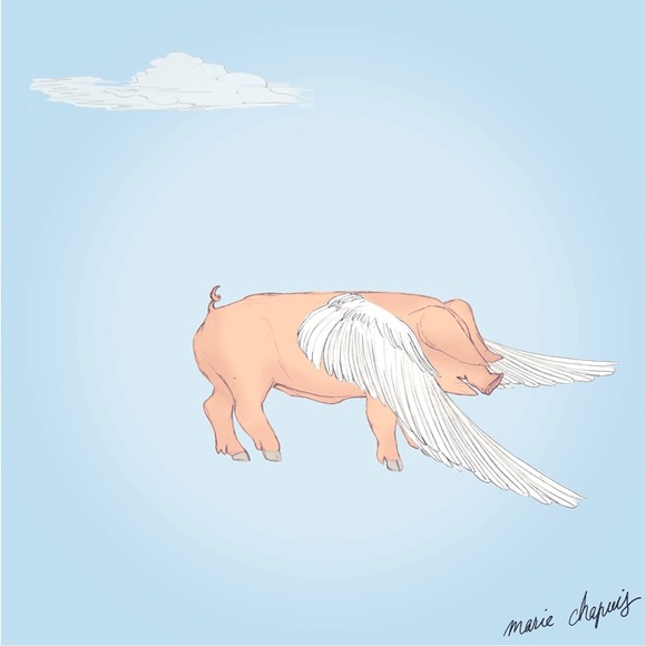 Meet your Posher, Ruby - Picture 1 of 1